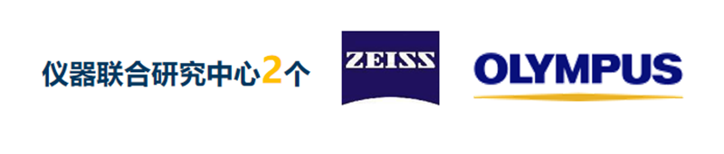 9.png